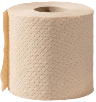 Green Hygiene ROLF Toilettenpapier Kleinrolle – 2-lagig, 300 Blatt, naturbraun, FSC Recycled 100%, Eco-Label | ready4care.de